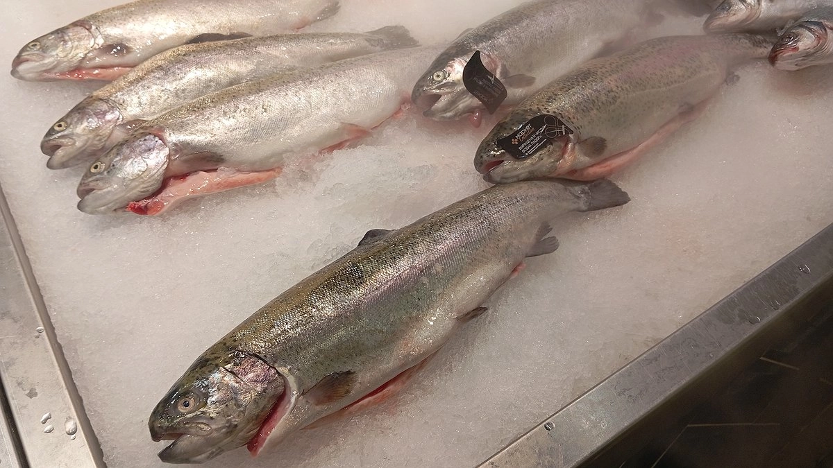 Как выбрать рыбу и не переплатить: на что смотреть в магазине и на рынке - советы экспертов