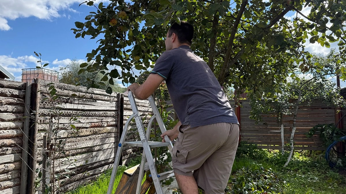 Опасные соседи яблони: какие растения лучше не сажать рядом, чтобы сохранить урожай