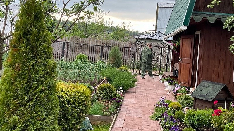 Главная картинка новости: Сирень в пролете: этот кустарник радует цветением с лета до зимы и превращает сад в пушистое облачко круглый год