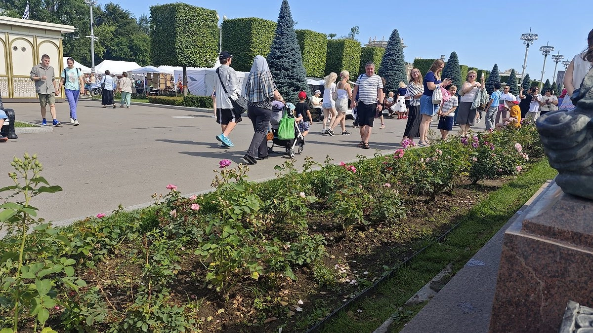 Кировчанам пообещали последнюю летнюю жару