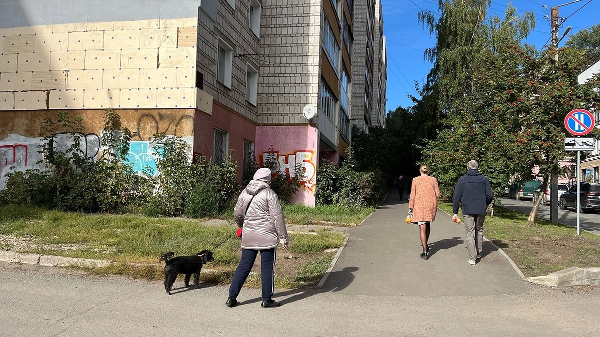 Кировчанам предложили создать службы знакомств на работе