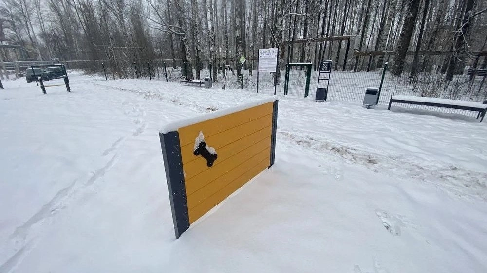 Главная картинка новости: Жители Коминтерна теперь могут выгуливать своих собак на новой площадке на улице Клубной