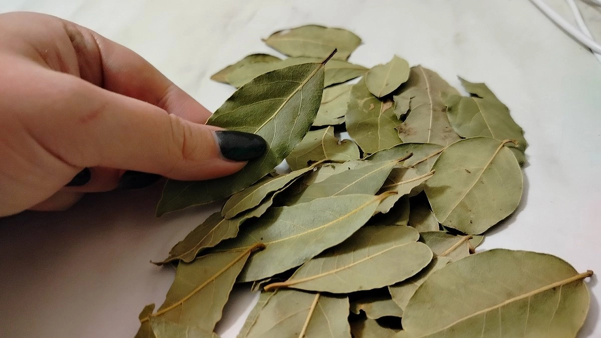 Зажгите лавровый лист в квартире - лишь единицы знают, для чего это нужно