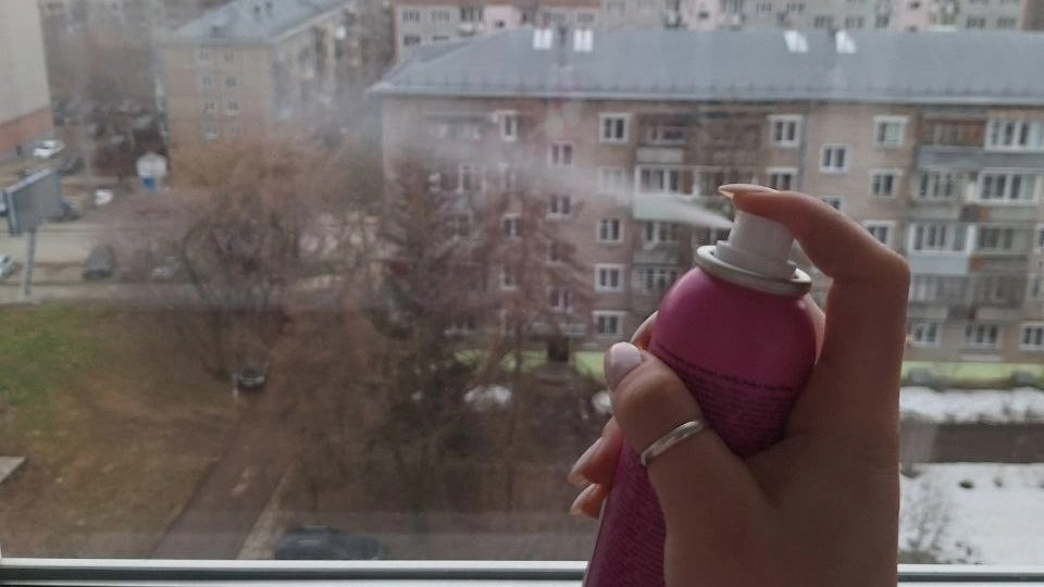 Забудьте о дихлофосе: как навсегда избавиться от мух с помощью самодельного спрея – безопасно для детей и животных