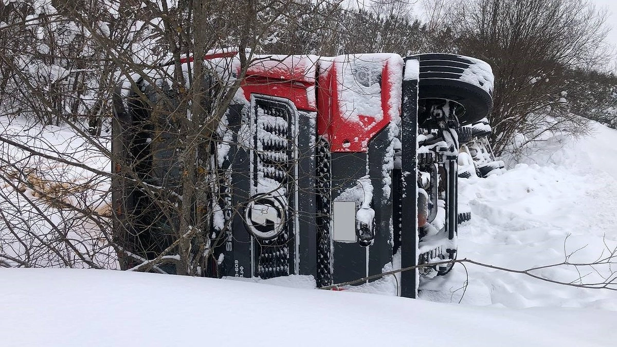 Главная картинка новости: В Кирове наглеца за рулем лесовоза постигла мгновенная кара