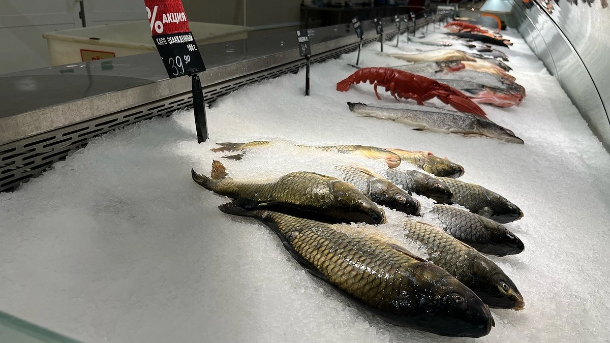 Названа самая вкусная и питательная рыба: ешьте ее по 3 раза в неделю, богата селеном, фосфором и хороша на вкус