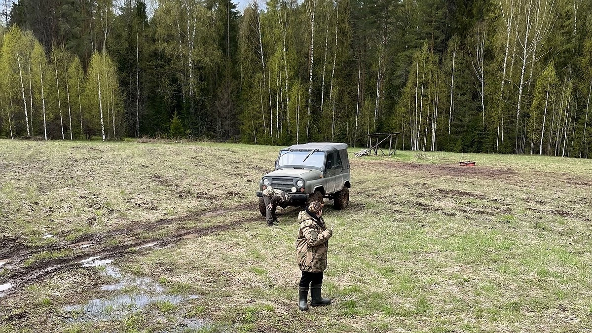 Грибники в РФ приобретают себе автомобили благодаря этому уникальному грибу