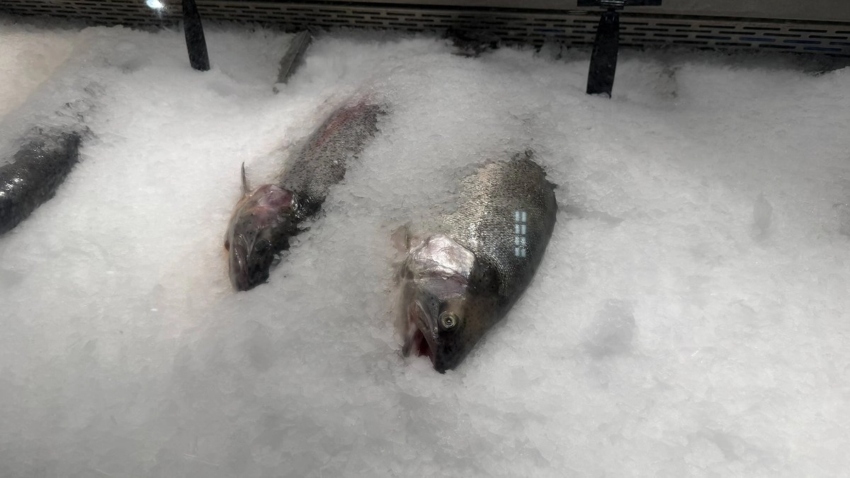 Из самой простой рыбы делаю настоящий деликатес: проще рецепта не найти, а вкус — пальчики оближешь