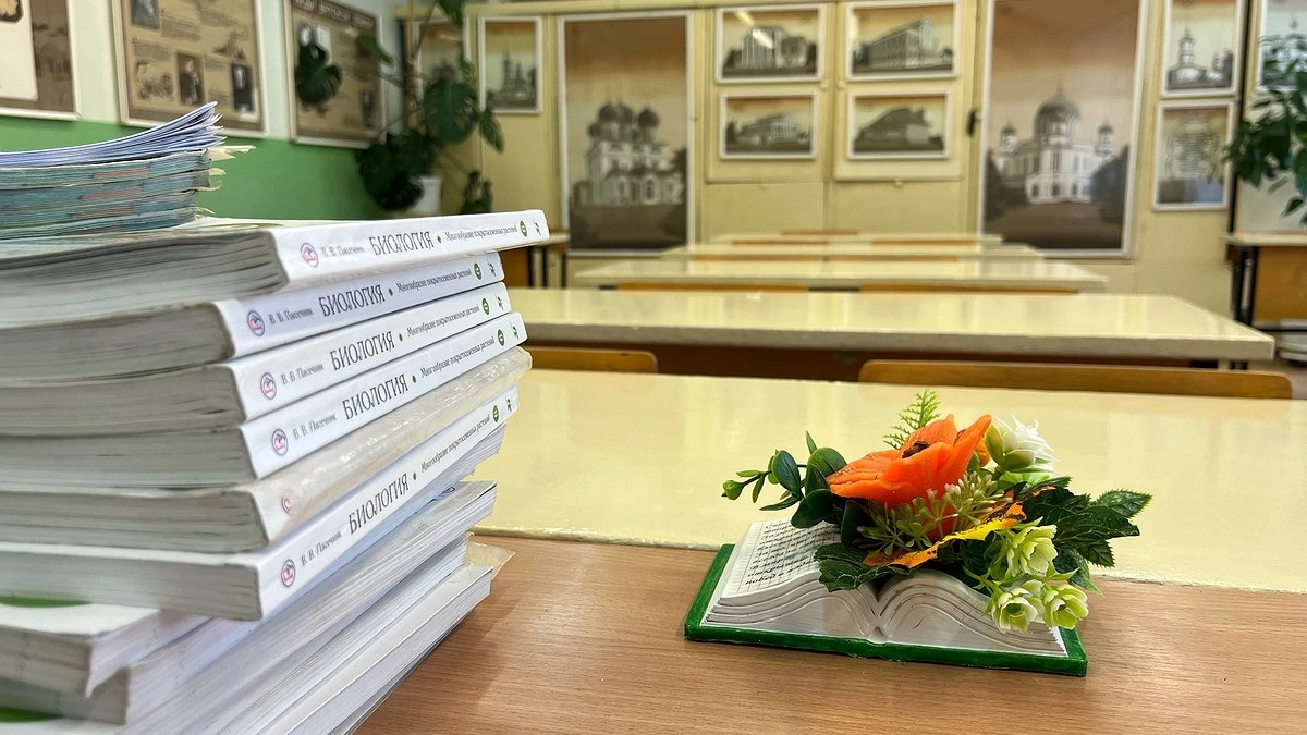 Лучше в колледже, чем в универе: 5 специальностей, которые круче университетских программ