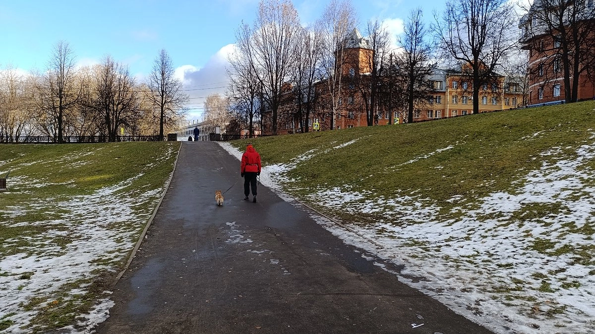 Осень в России станет непредсказуемой: резкие перепады и первый снег