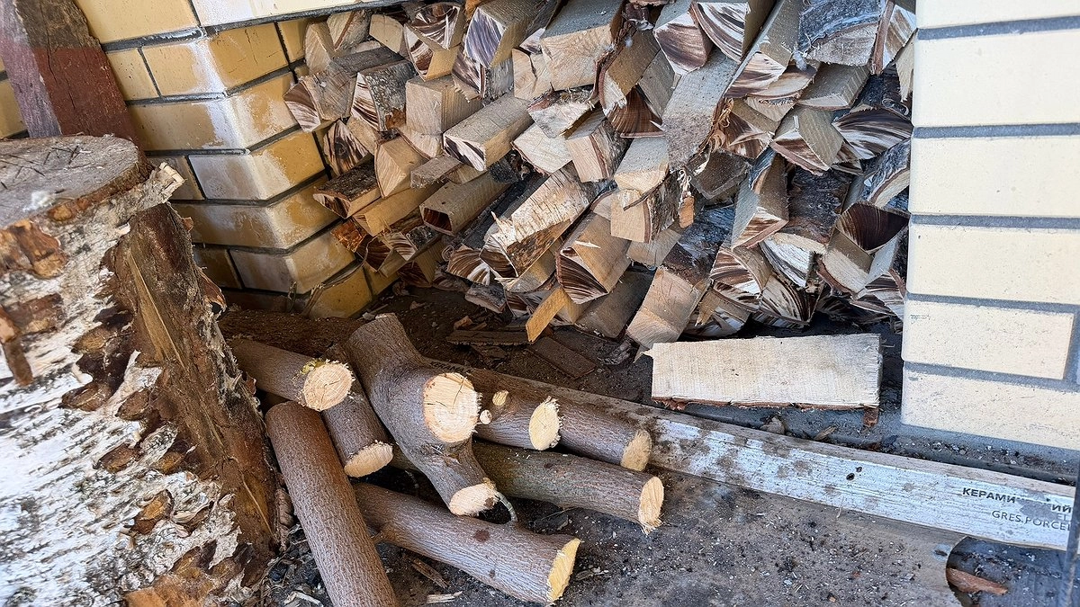 Кировская область оказалась одной из лучших в России по заготовке древесины