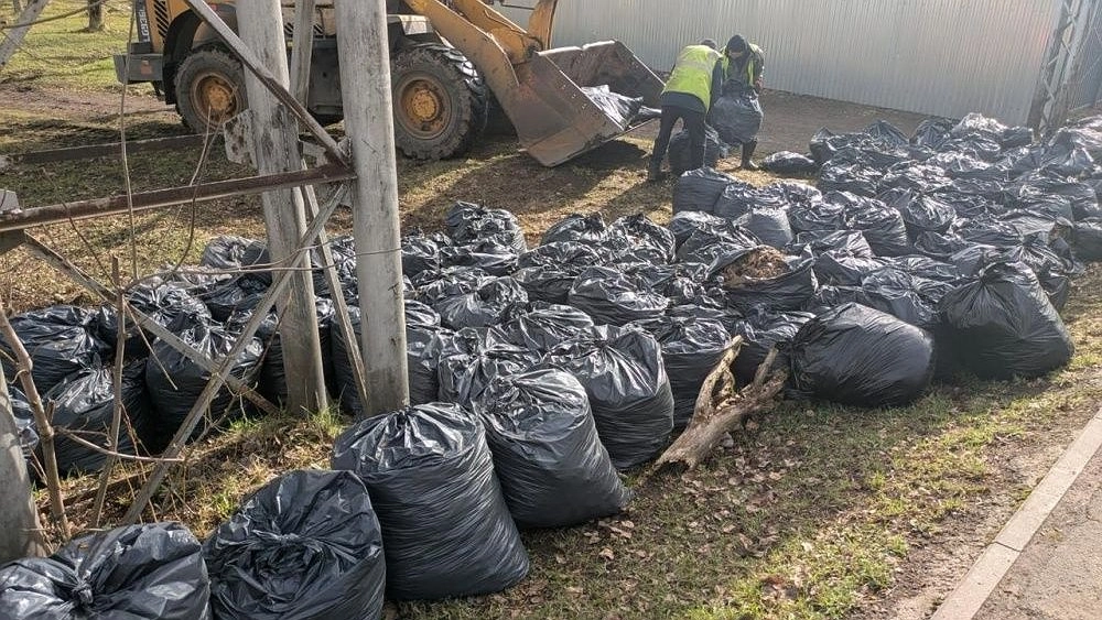 В Кирове за время субботников собрали более 1,5 тысяч кубометров мусора
