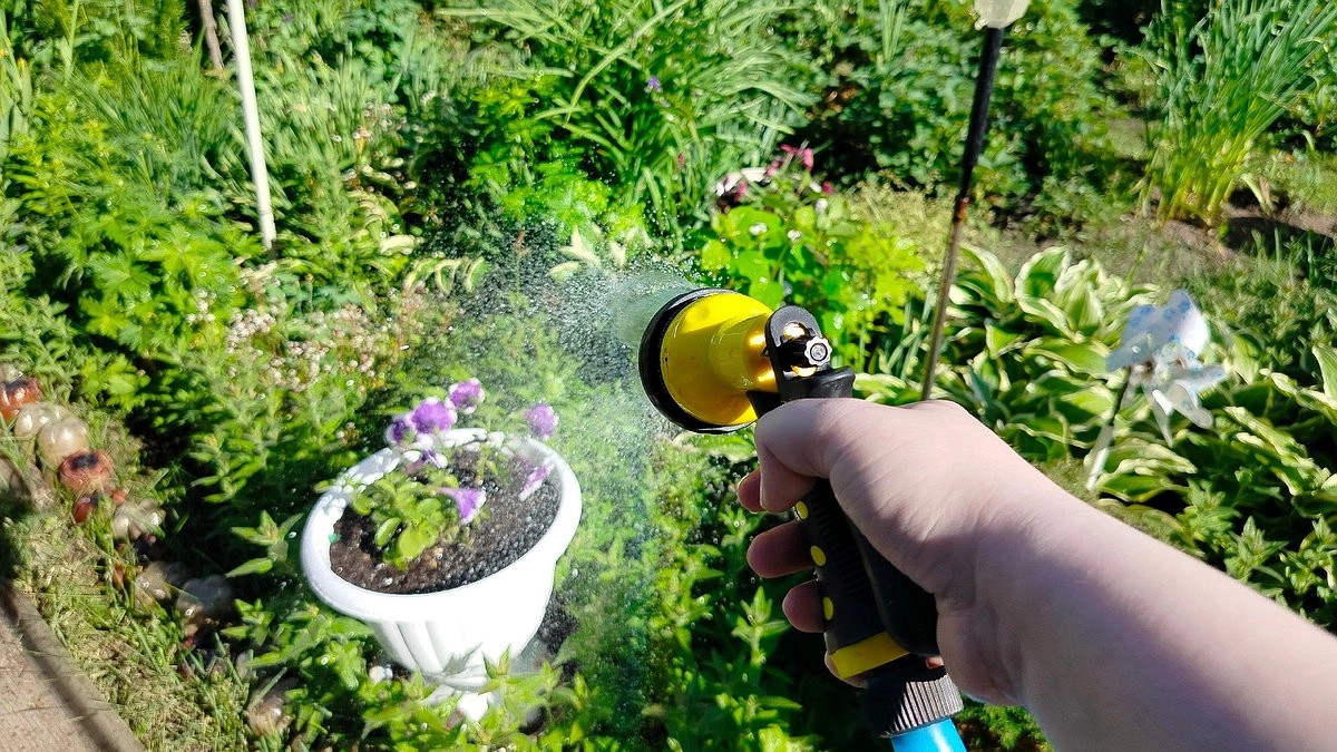 Каким будет лето после аномально теплой зимы: эксперты предупредили садоводов, к чему готовиться и какого ждать урожая