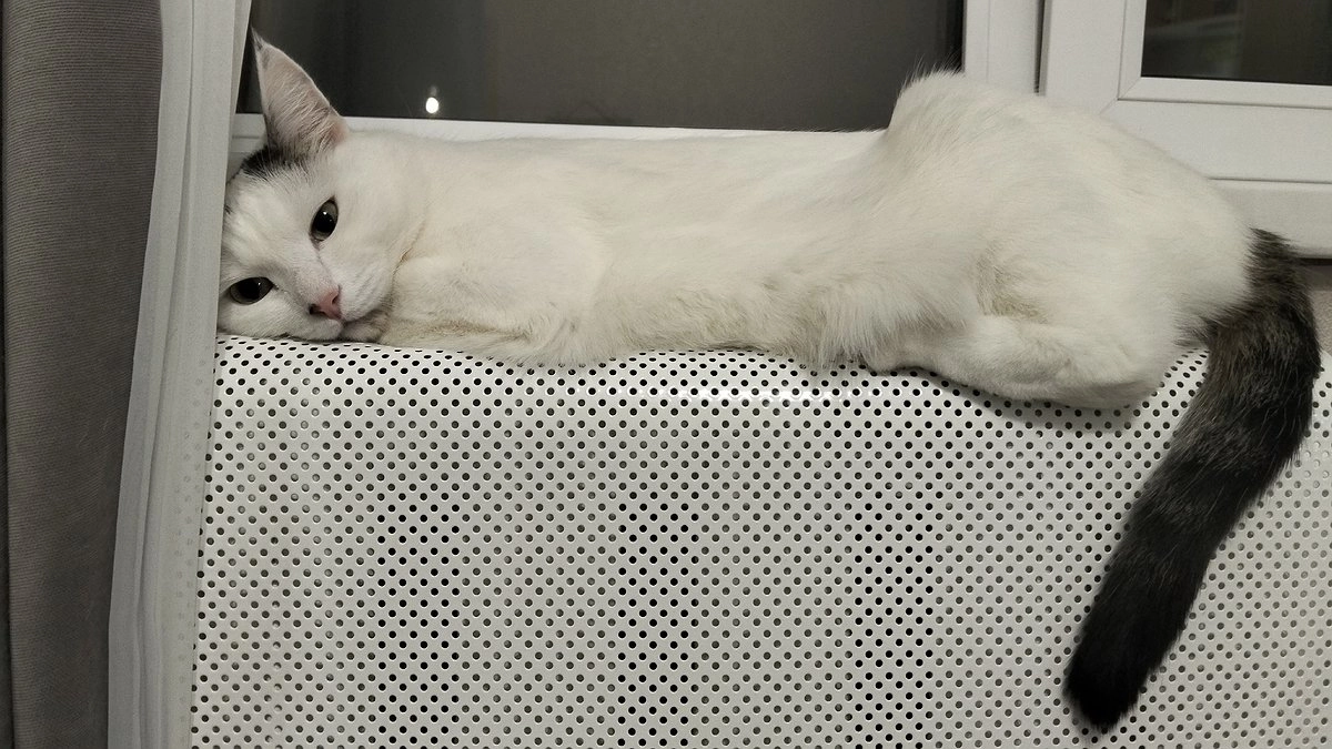 Как сэкономить на электроэнергии зимой без потери комфорта: практические советы