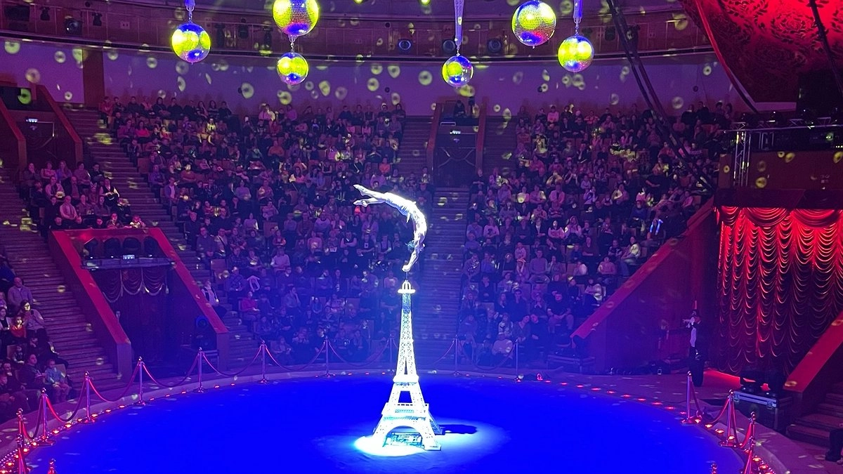 Главная картинка новости: "Второй дом для артистов": в Кирове отремонтируют гостиницу для циркачей