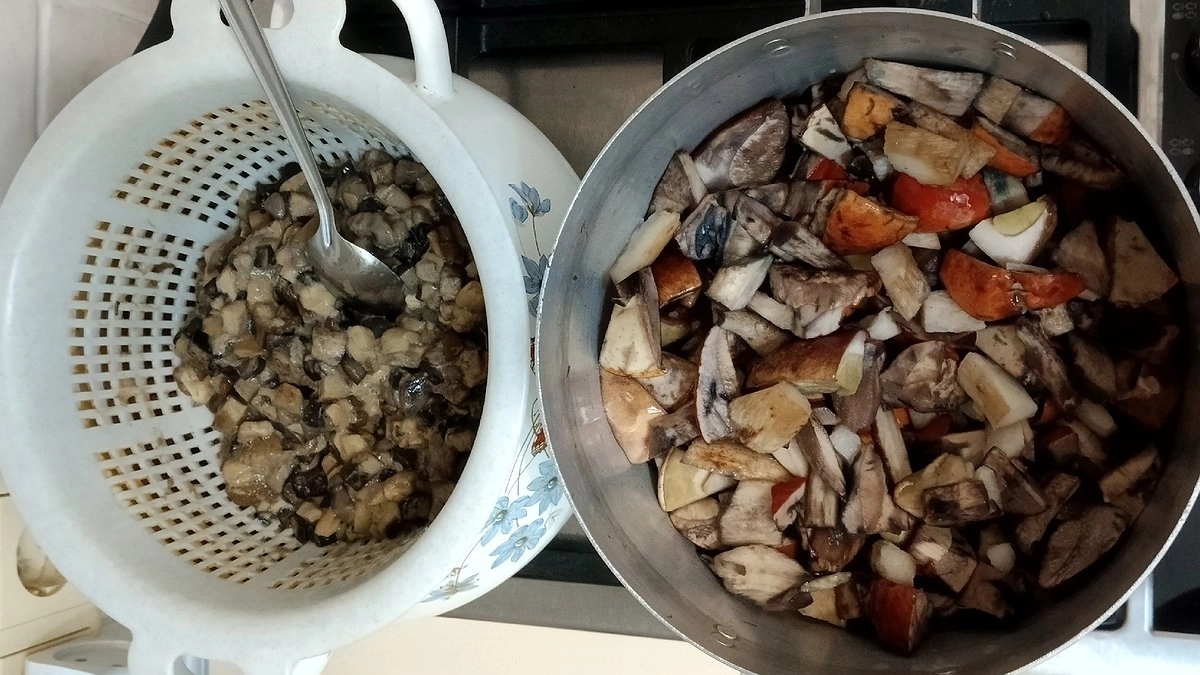 Ошибки при обработке грибов, которые только занимают часы и не дают результата – совершают большинство