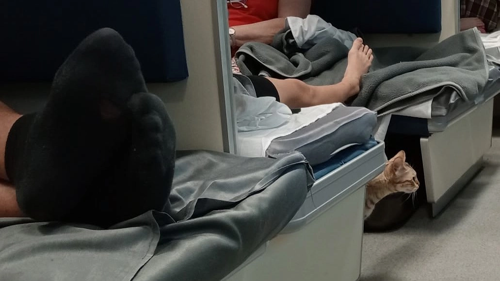 Главная картинка новости: Пожилой мужчина начал обыскивать мою сумку, пока я спал. Что он сказал, когда я его поймал - не забуду никогда