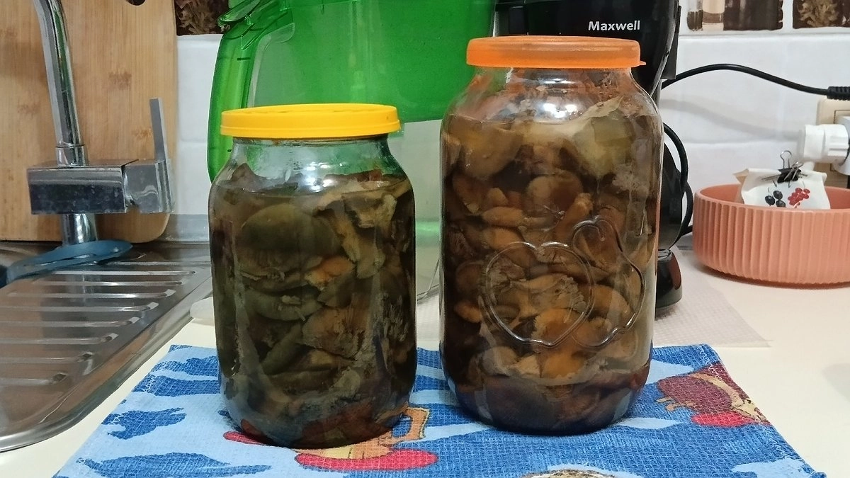 Как собирать и мариновать рыжики на зиму, чтобы они не потеряли аромат и остались хрустящими