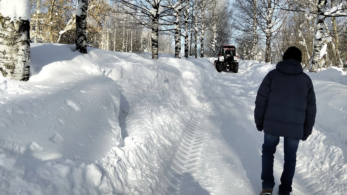 Главная картинка новости: Аномальный март, июль с жарой выше +35: прогноз на весну и лето 2026 удивил даже Романа Вильфанда