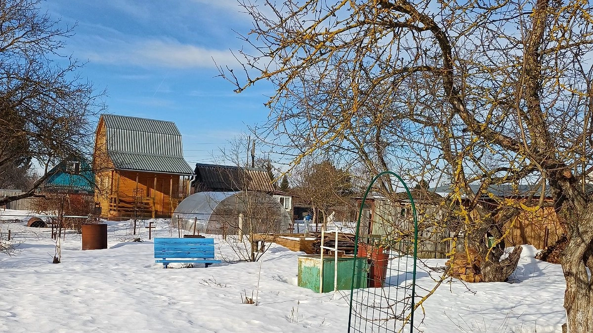 Обязательные работы в саду в феврале: садоводам напомнили, что нужно сделать до начала весны