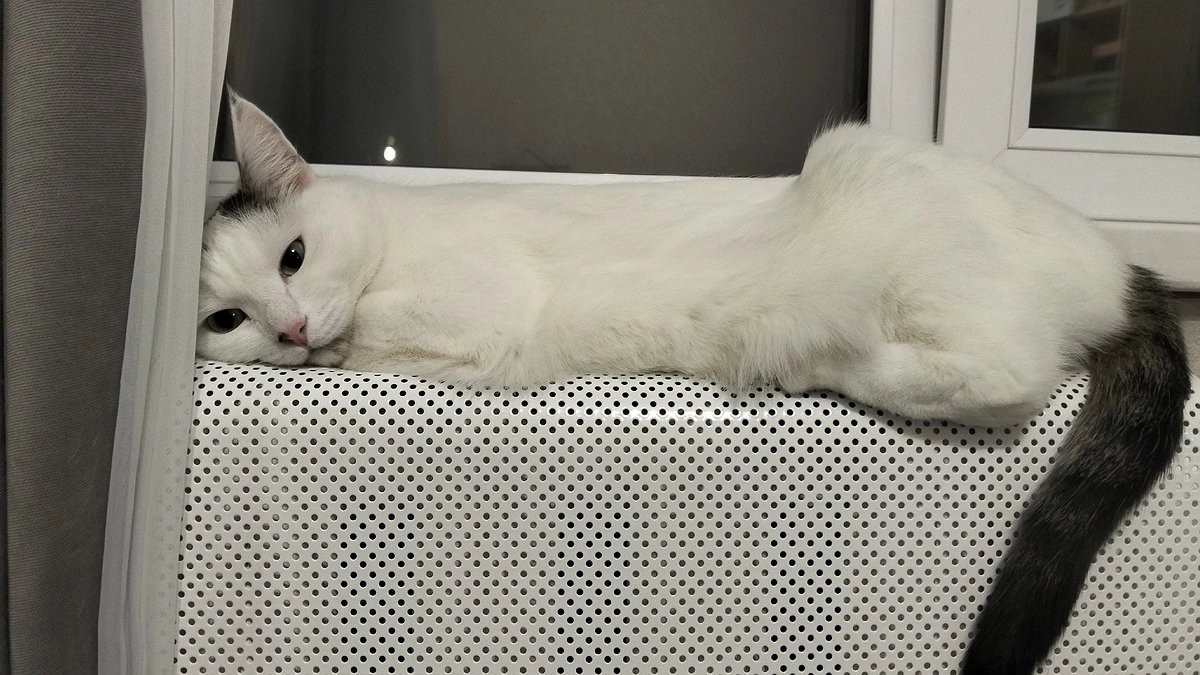 В квартире на 5 градусов теплее без расходов на отопление: 3 крутых лайфхака дорогих отелей