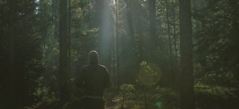 Полицейские всю ночь искали в лесу под Кировом заблудившихся грибников