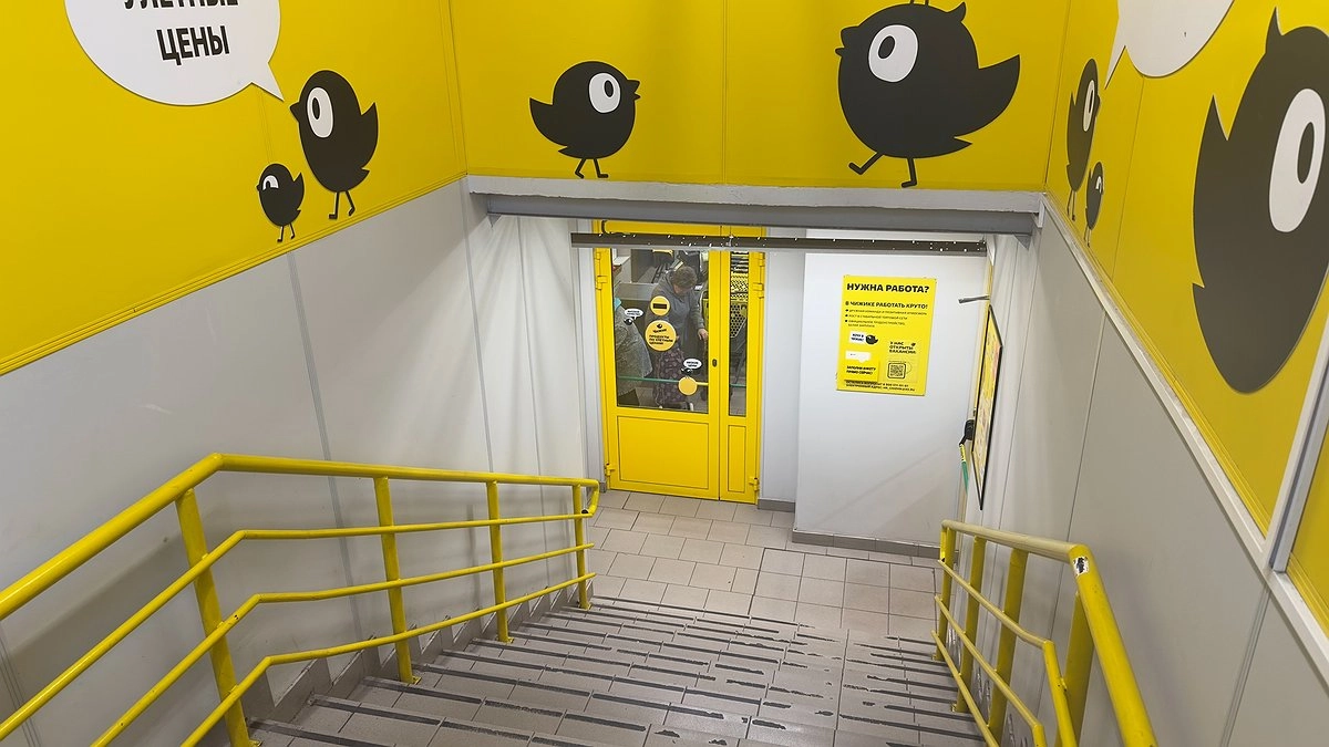 В магазине Чижик не всё дешёво, но я регулярно беру только эти пять проверенных продуктов