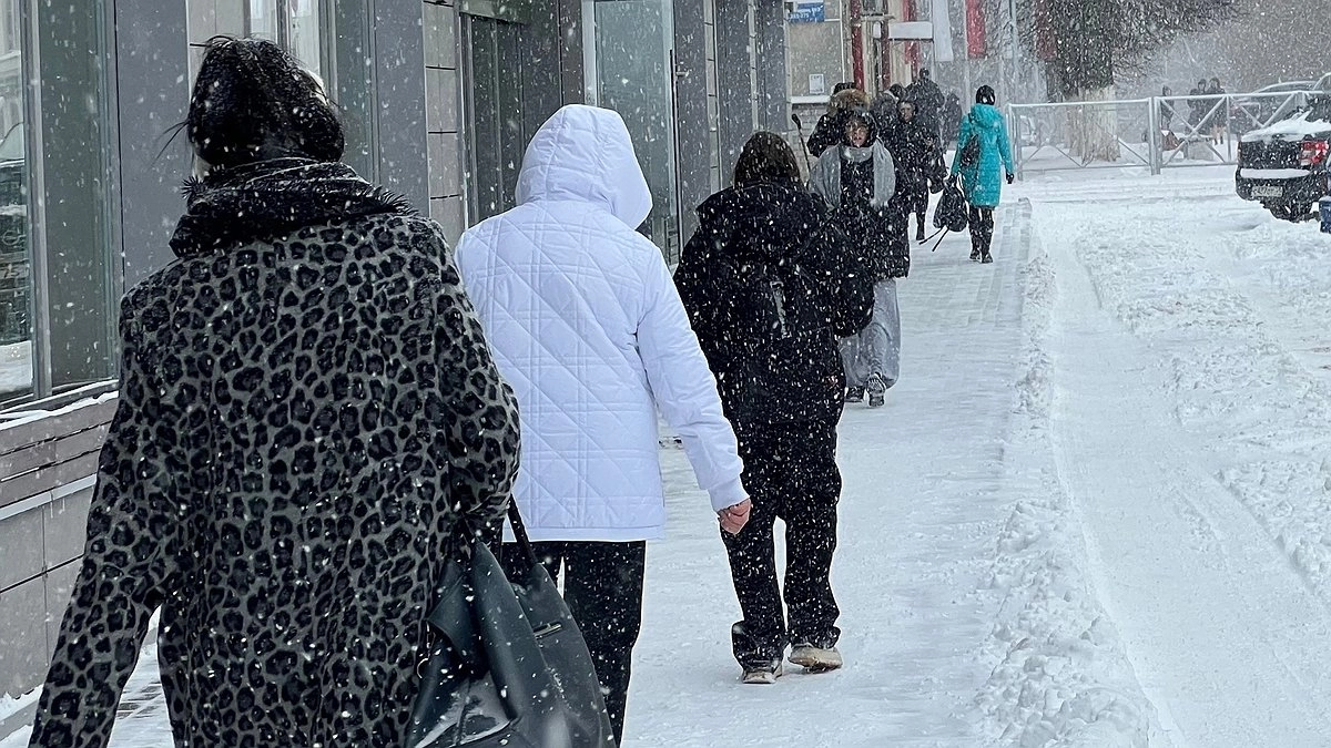 Какой будет зима в Кирове: синоптики дали прогноз по месяцам