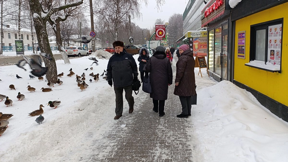 Трудовой стаж пересчитают: с марта пенсии будут начисляться с применением других правил