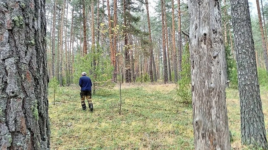 У пяти кировчан отобрали охотбилеты из-за наличия судимостей