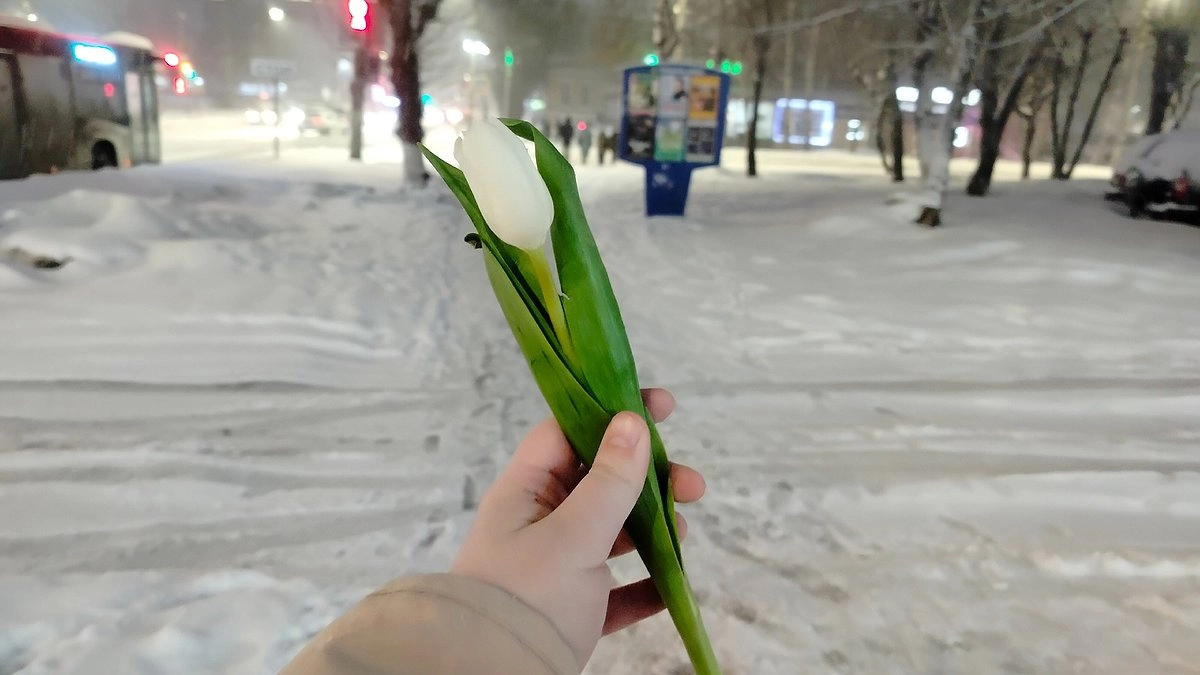 «Грядут аномалии похлеще мороза» — учёные предупреждают о непредсказуемой зиме в России
