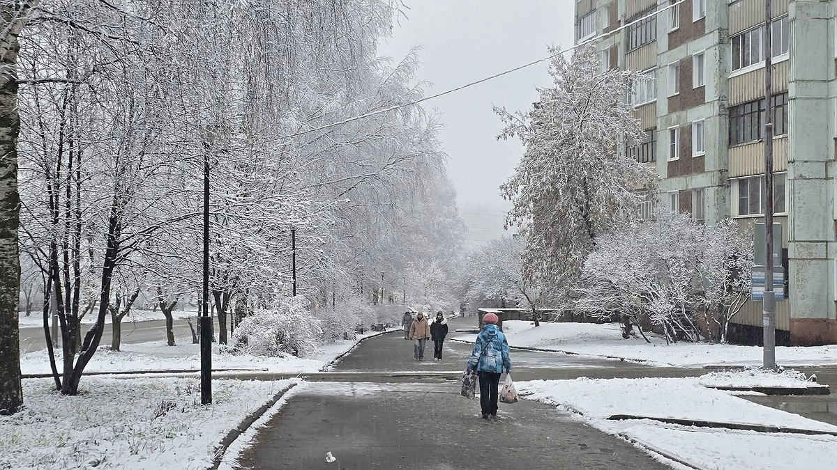 Главная картинка новости: Синоптики обновили прогноз: чего ждать от зимы 2025–2026 — будет ли снег, морозы и когда наступит настоящая зима
