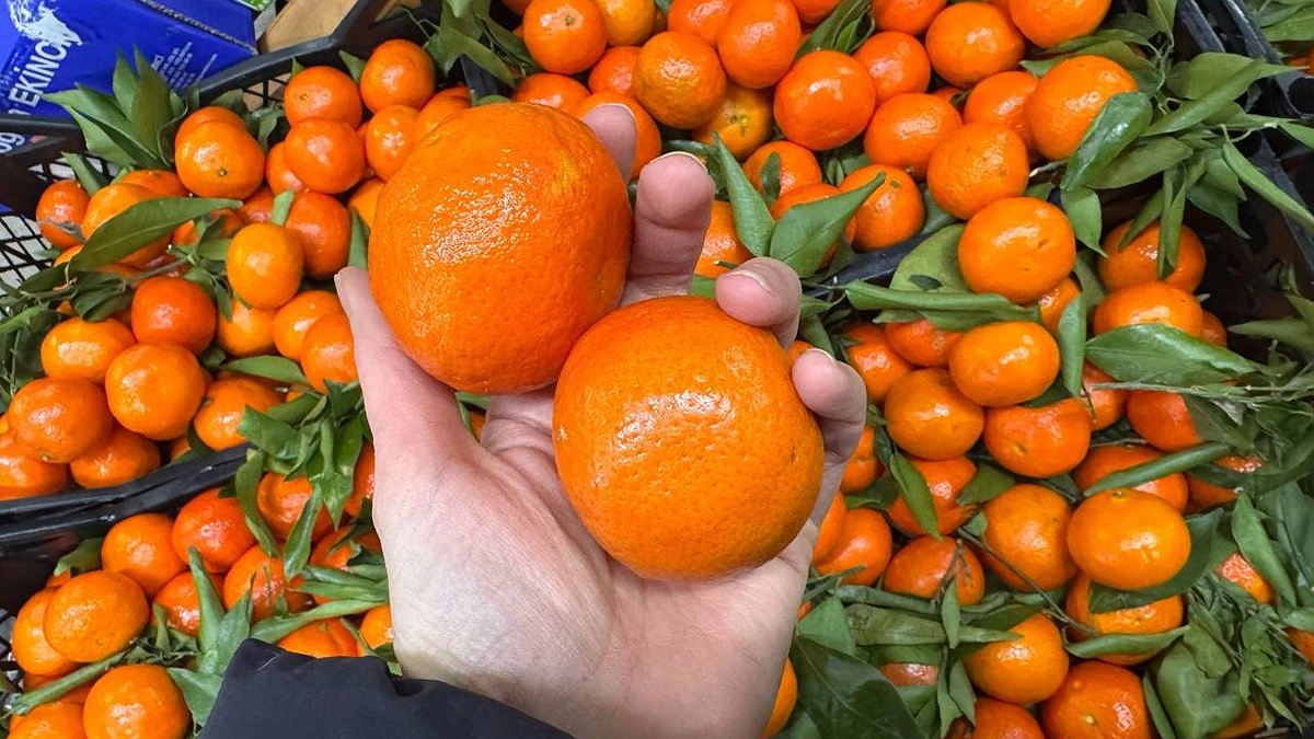 Продавцы не любят, когда покупатели знают этот секрет: знаю, как определить сладость мандарина по кожуре - займет 10 секунд