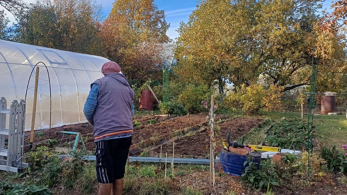 Осенние работы на даче. Что важно сделать на дачном участке прямо сейчас