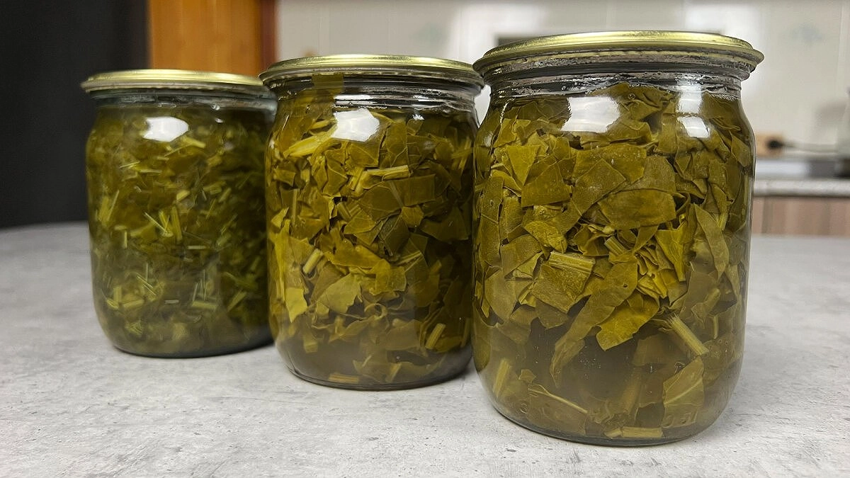 Главная картинка новости: Три лучших способа заготовки щавеля на зиму без соли и стерилизации: банки храню в шкафу на кухне