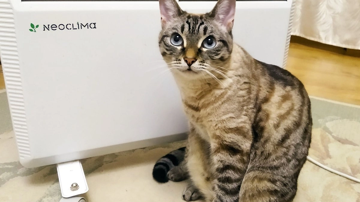 Когда и где в регионах России включат отопление: график запуска батарей осенью 2025 года