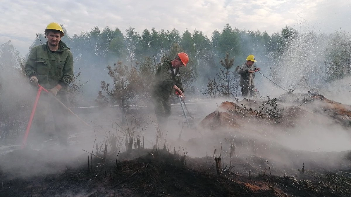 В Кировской области за выходные сгорело больше 4 га леса