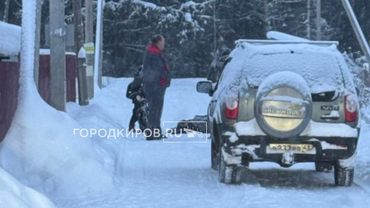 "Лежит на снегу, ждет скорую": в Кирове овчарка на выгуле серьезно покусала человека