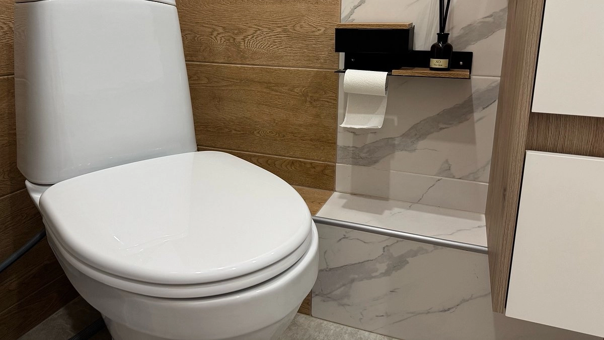 Главная картинка новости: Ходить в туалет на унитаз в 2026 году не в моде: новый туалетный тренд скоро дойдет и до России