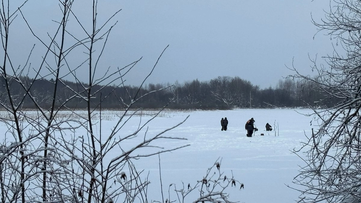 Два года тюрьмы грозит кировчанину за одну выловленную стерлядь