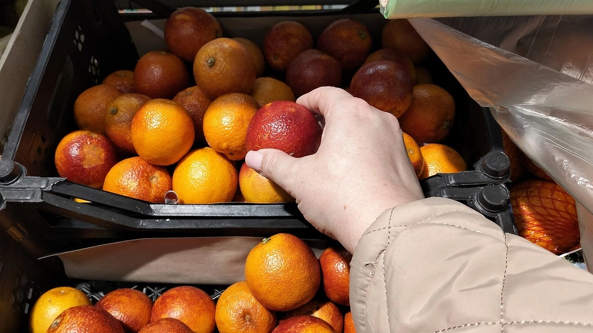 В Киров приехала партия египетских апельсинов с опасными вредителями