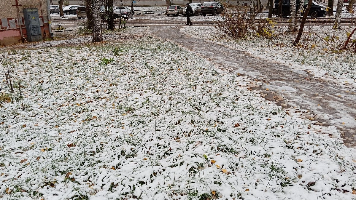 Снег ждите очень рано: синоптики назвали точную дату старта зимы