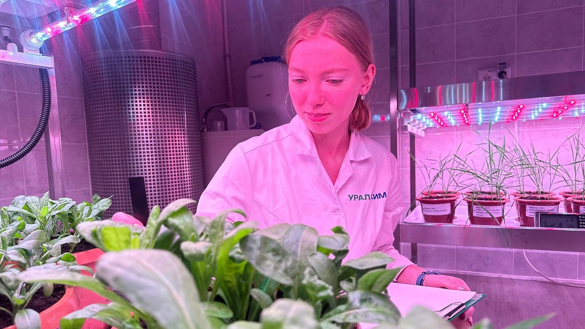 Главная картинка новости: «Уралхим» проводит летнюю стажировку для студентов