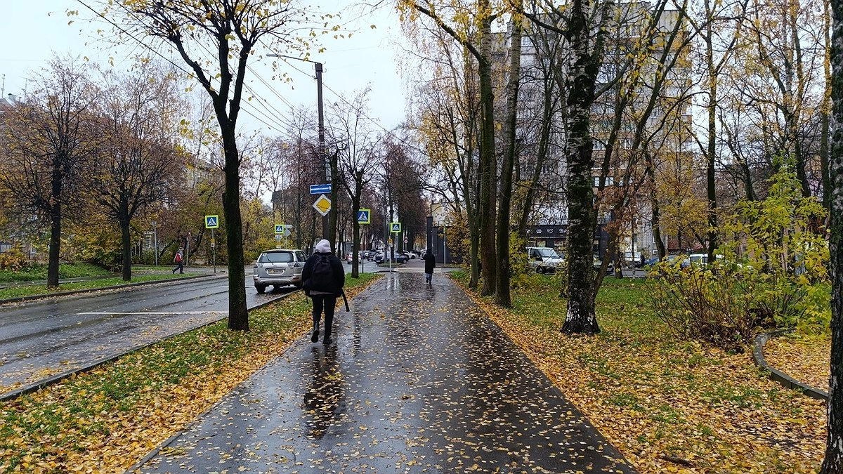 Циклон принесет в Кировскую область дождь и ветер, а за ним в регион придут морозы и снегопады