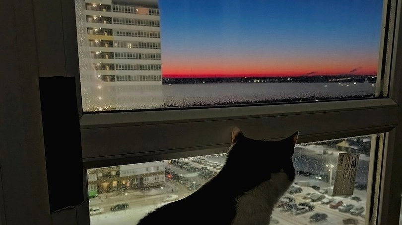 В России с начала 2025 года дорожают квартиры в новостройках