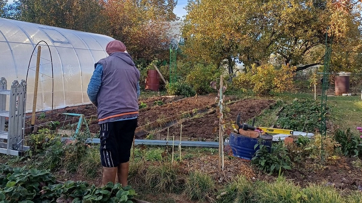 Теперь забыли о чистке выгребной ямы - сосед подсказал способ: работает годами