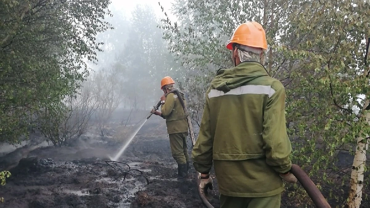 В Кировской области объявили высокую пожароопасность