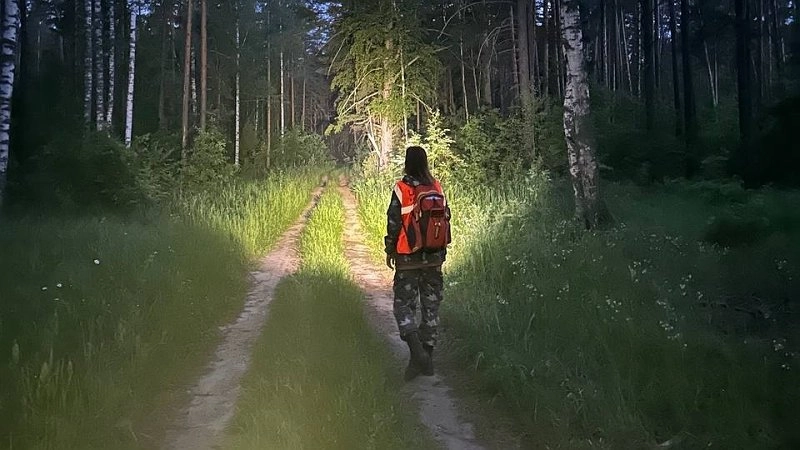 "Третий день ищут в лесу": под Кировом бесследно пропал грибник