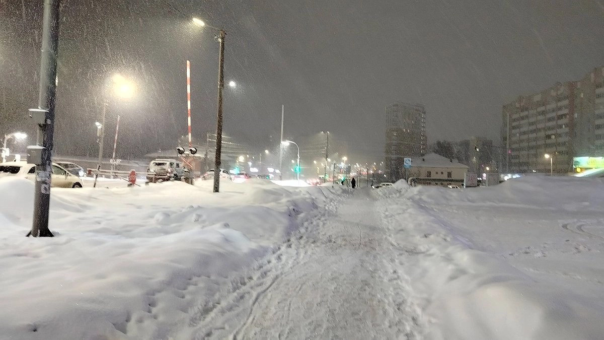 Какой будет зима 2025–2026: синоптики дали первые прогнозы - морозы вернутся