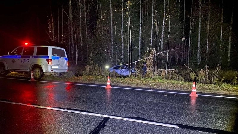 В Кикнурском районе в аварии погиб 28-летний водитель иномарки